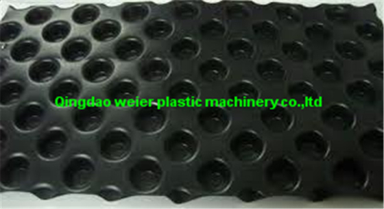 HDPE Plastic Sheet Extrusion Line